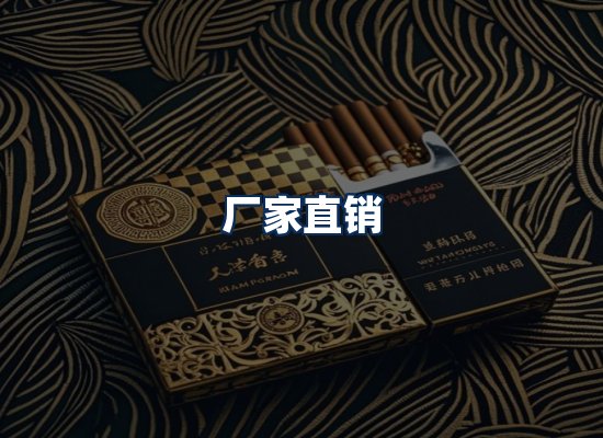 专业团队办公环境